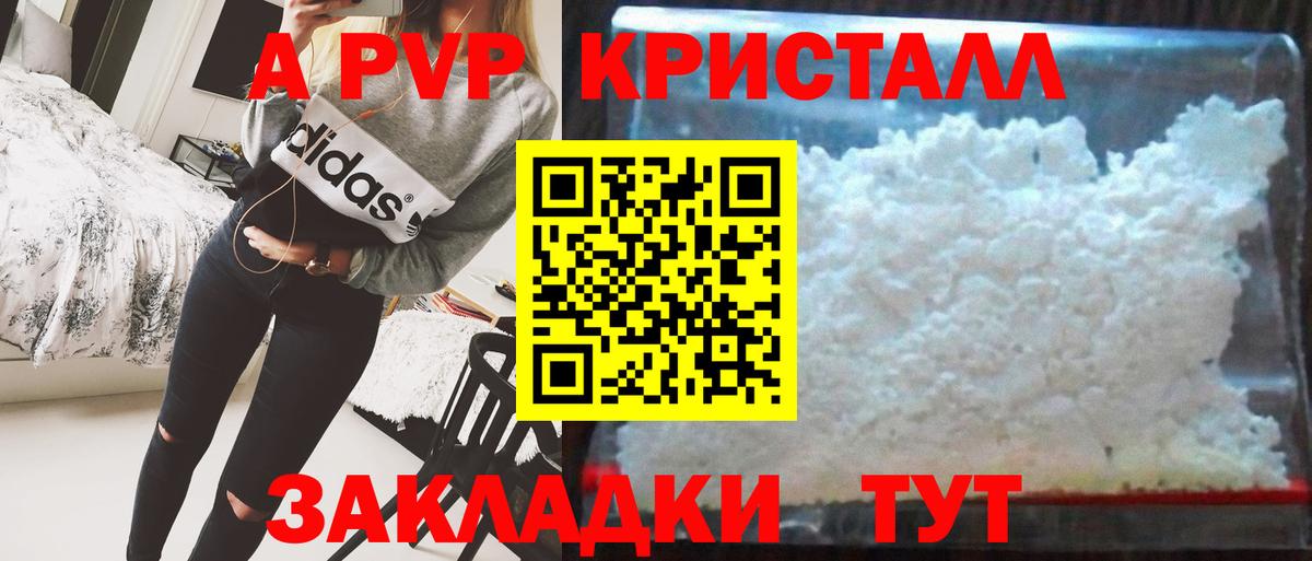 Приморско-Ахтарск  Альфа ПВП СК  A PVP СК КРИС  Альфа ПВП СК  А ПВП  как найти   Вход с VPN 