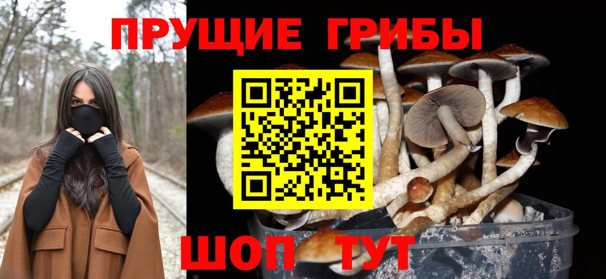 Псилоцибиновые грибы мухоморы  Вход с VPN  Приморско-Ахтарск 